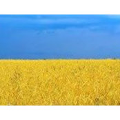 Евгений Мезенцев's photo