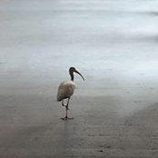 Lori Boyd Kelly's photo