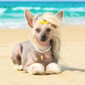 Foto von Coco P
