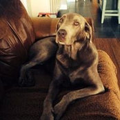 Gerry Anderson's photo