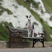 Foto von Clare Boggia