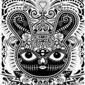Photo de Amy Hsu
