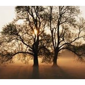 Wanda Collins's photo