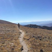 Beth Burns's photo