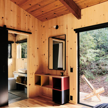 Sea Ranch Renovation