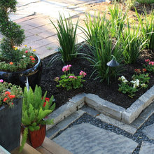 front yard