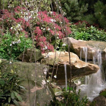 Show Garden
