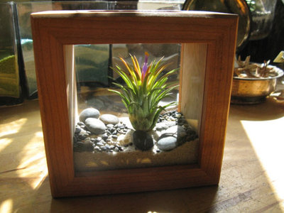 Eclectic Terrariums by Etsy