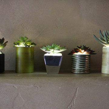 Lumiere Set of 5
