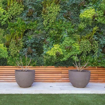 Space Saving Solution With VitaFolia Vertical Green Wall