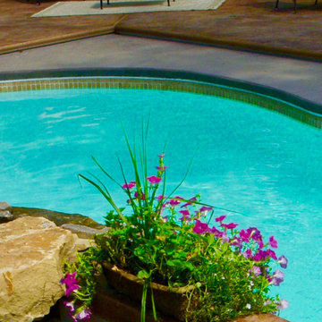 Spring Flowers in Greensburg