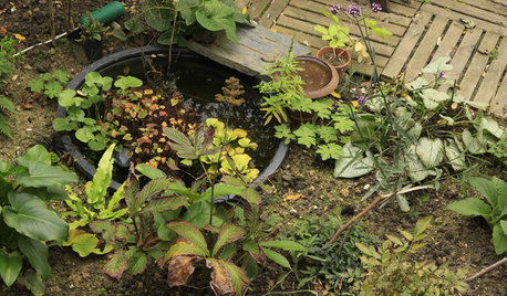 DIY : Aménagez un bassin extérieur à moindre coût