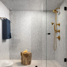 Gold River bathroom Remodel