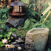 Japanese garden
