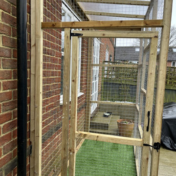 Catio build