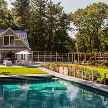 Backyard Ideas