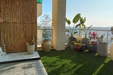 Asha and Nares's Home Gardens