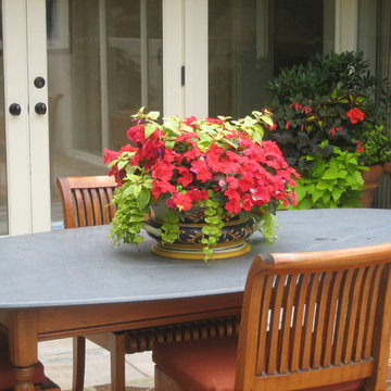 Bellevue Patio