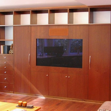 Custom Entertainment Units