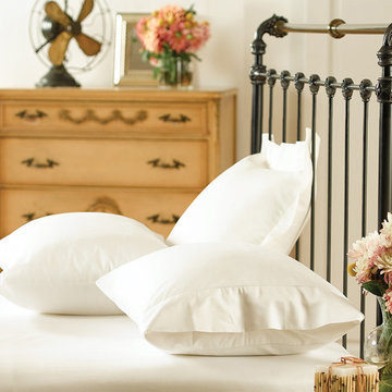 Iron & Brass Sleigh Bed