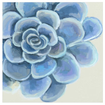 "Garden Succulent" Canvas Wall Art by Cathy Walters