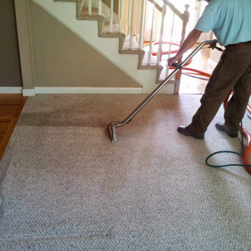 Carpet Cleaning