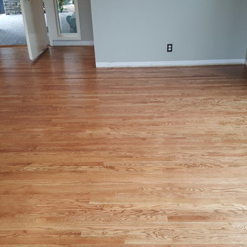 Red Oak Wood Flooring - NutMeg DuraSeal Stain