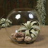 Classic Oversize 13" Clear Glass Sphere Bowl | Centerpiece Punch Vase Round