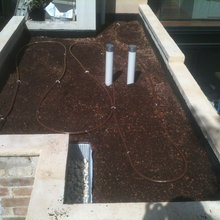 green roof