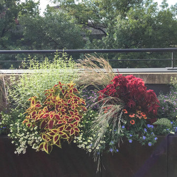 DC ROOF DECK