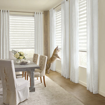 Banded Shades / Zebra Blinds