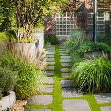 Sara’s Garden