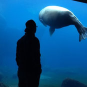 Magnus Sievert's photo