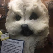 Ken Childers's photo