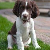 Mallie Ravizza's photo