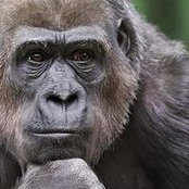William P Beave's photo