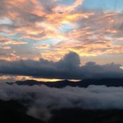 Mary Bradshaw's photo