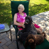 Karen Paulick's photo