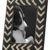 Celia Sasser's photo