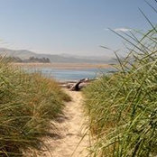 Aaron Doerr's photo