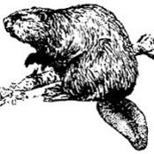 Jack Beaver's photo