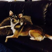 Kelsey McCloy's photo