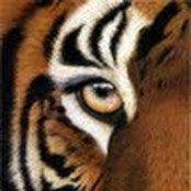 Scott White's photo
