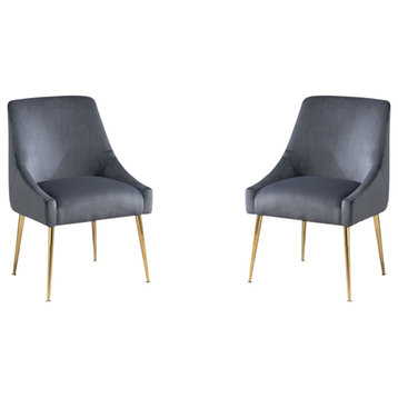 Velvet Upholstered Wing Back Chair With Golden Plated Legs, Set of 2, Grey