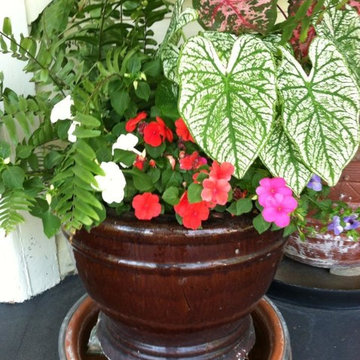 Potted Plants & Flower Beds