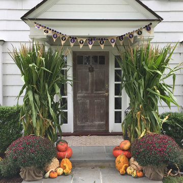Potted Gardens