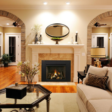 Gas Fireplace Insert Collection by IronStrike