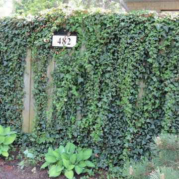 fence softening