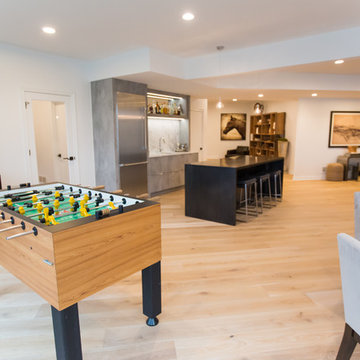 Sea Star Basement, Bar Area, Home Gym and Bedroom Project