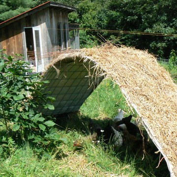 An Improvised Chicken Shelter